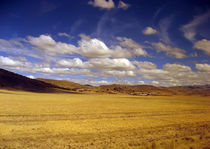 Peruvian high plains 2 by RicardMN Photography