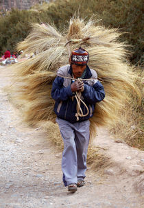 A peasant of Colca Valley by RicardMN Photography