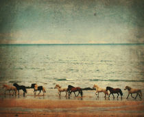 Icelandic horses running at the beach by Kristjan Karlsson