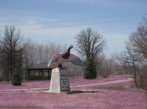 Geese Sculpture in Canada von Kristjan Karlsson