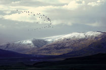 Dales, Iceland, Mountain,-snow, Icelandic winter by Kristjan Karlsson