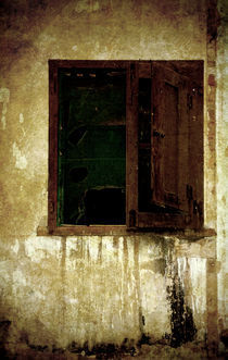 Old and decrepit window von RicardMN Photography