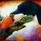 Finer-feathered-friends-toucan