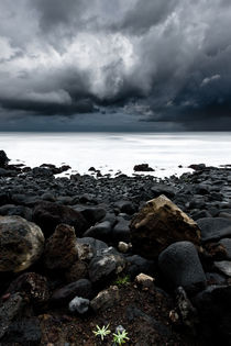 The storm by Jorge Maia