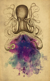 Octopus by axel haudiquet