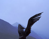Wings von pahit