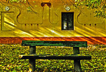 Bench in Autumn by Dejan Knezevic