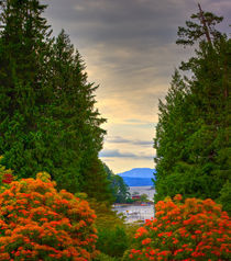 Vancouver Island.Summer time by Michael Latman