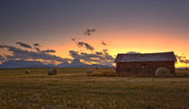 Montana by Michael Latman