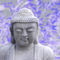 20111229-dsc-0148-buddha-blue01-soft