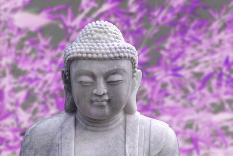 20111229-dsc-0148-buddha-violet-soft