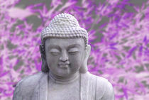 buddha bamboo (violet) von hannes cmarits