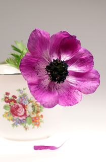 Tasse mit Blüte by lichtbildersalon