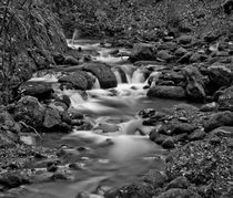 Alva Burn, Clackmannanshire BW by Buster Brown Photography