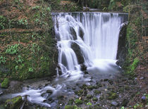 Alva Glen Waterfall von Buster Brown Photography