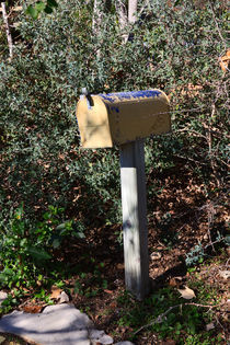 Overgrown Mailbox by Louise Heusinkveld