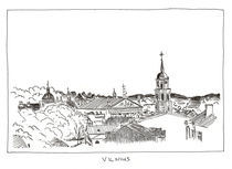 Panorama of Vilnius by Raimondas Žukauskas