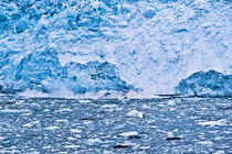 Hubbard Glacier, Alaska, USA von John Greim