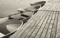 Sepia dinghys. by John Greim