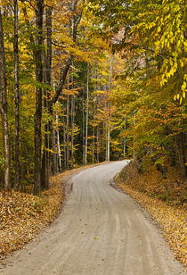 Autumn country road, Vermont, USA by John Greim
