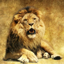 The King by AD DESIGN Photo + PhotoArt