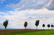 Rainbow von Wolfgang Dufner