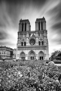 Notre Dame de Paris von Andrej Grznár