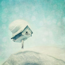 snowbird's home by Priska  Wettstein