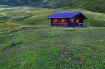 Blumenwiese mit Berghütte von Wolfgang Dufner