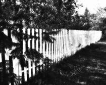 Fenced In - Fenced Out by mimulux