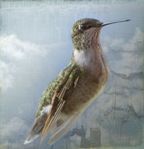 Angel Wings Ruby Hummingbird by Cris  Hayes