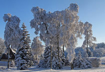 Winter im Erzgebirge von Wolfgang Dufner