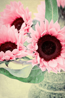 Pink Sunflowers von AD DESIGN Photo + PhotoArt