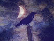 Midnight Crow von Robert Ball