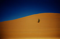 Desert 1 by Razvan Anghelescu