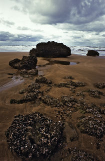 Normandy beach 14 by Razvan Anghelescu