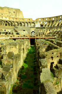 Rome- Colosseum interiors von Gautam Tingre