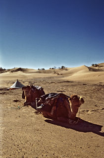 Desert 1 by Razvan Anghelescu