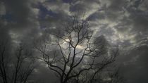 Witch's Sky von Joel Furches