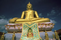 Big Buddha von Danita Delimont