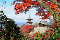 Kiyomizu temple in Autumn color von Danita Delimont