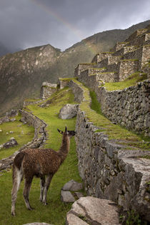 Peru von Danita Delimont