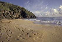 Footprints on Atlantic Beach by Danita Delimont