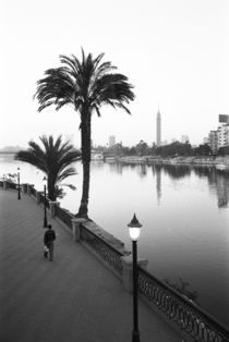 Along the Nile River by Danita Delimont