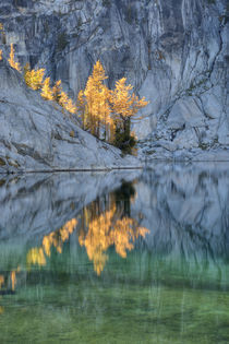 Reflected in Lake Vivian by Danita Delimont