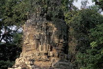 Huge stone sculptures at Ta Prohm Temple-Angkor von Danita Delimont
