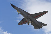 General Dynamics F-111 Swing Wing Jet Fighter (RAAF) by Danita Delimont