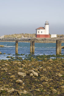 Last lighthouse built on the Oregon Coast von Danita Delimont