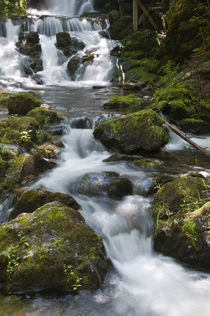 Dickson Falls in Fundy National Park von Danita Delimont