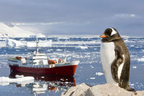 Antarctica by Danita Delimont